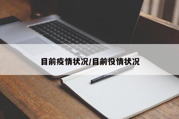 目前疫情状况/目前役情状况