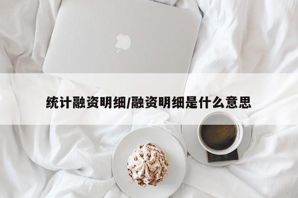 统计融资明细/融资明细是什么意思
