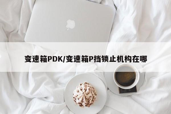 变速箱PDK/变速箱P挡锁止机构在哪