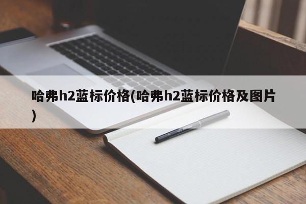 哈弗h2蓝标价格(哈弗h2蓝标价格及图片)