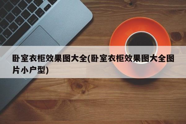 卧室衣柜效果图大全(卧室衣柜效果图大全图片小户型)