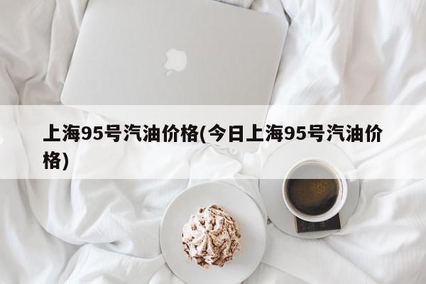上海95号汽油价格(今日上海95号汽油价格)