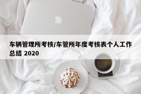 车辆管理所考核/车管所年度考核表个人工作总结 2020